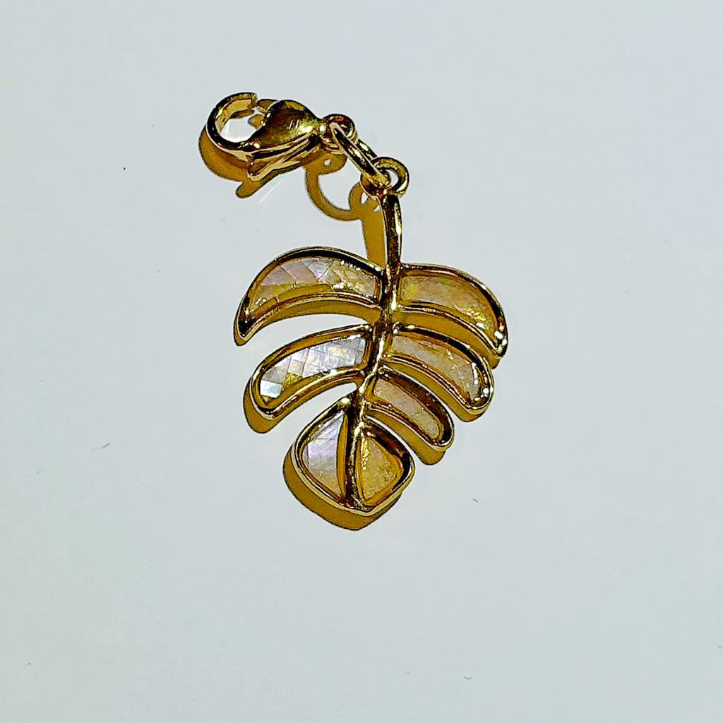 Stainless Charms